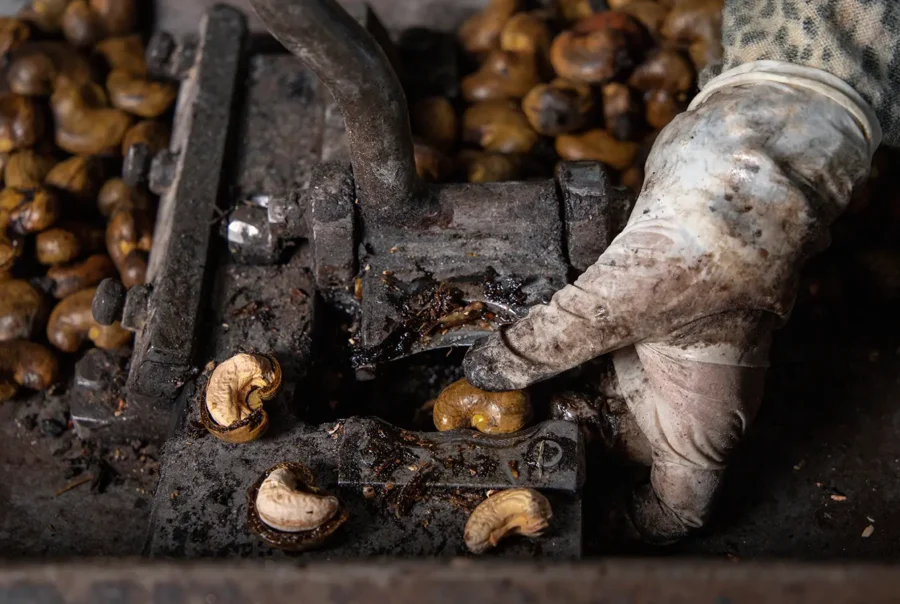 Types of Cashew Shelling Machines: A Comprehensive Guide 3 hand cashew shelling