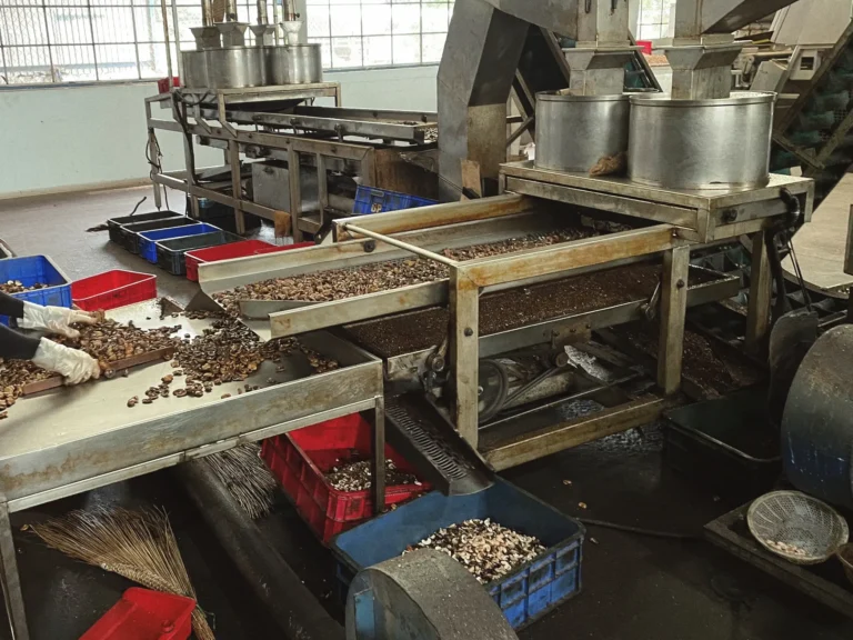 Challenges and Prospects for Vietnam's Cashew Industry 1 Vietnam's Cashew Industry in Global Exports