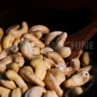 cashew nut 240