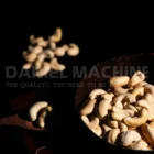 cashew nut 240 buy