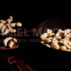 cashew nut 240 price