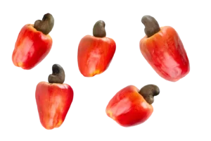 Nature's Nutritional Gem: The Surprising Health Perks of Cashews 5 cashew of daniel machine