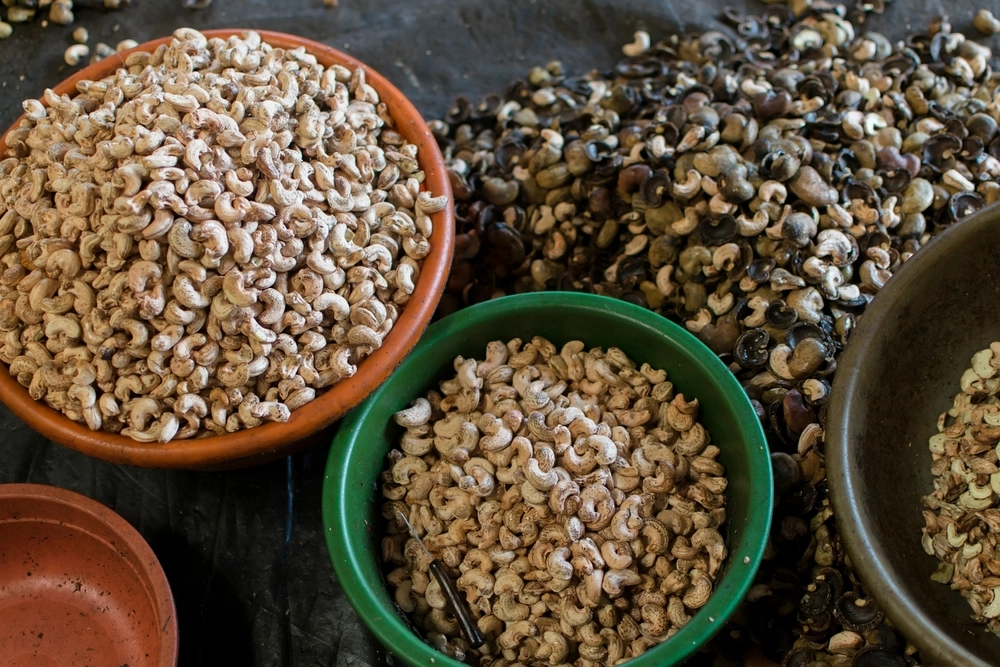 Which Country Produces the Most Cashew Nuts? 2 cashew nut