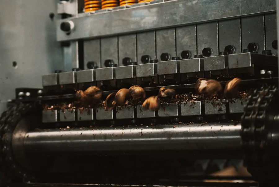 Vietnam Cashew Shelling Machine: Revolutionizing Cashew Processing 2 cashew shelling process