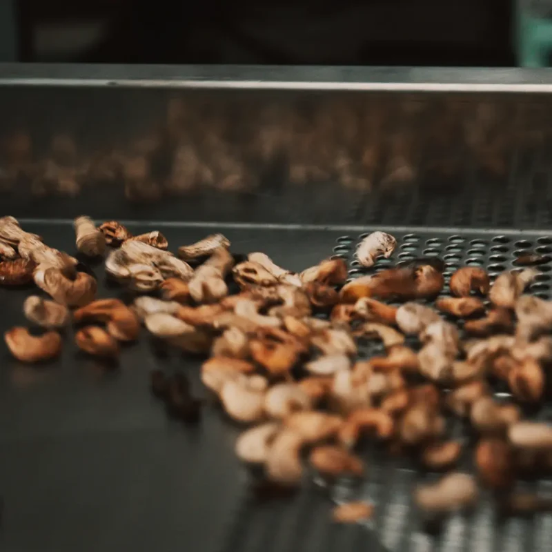 Setting up a Cashew Nut Processing Plant