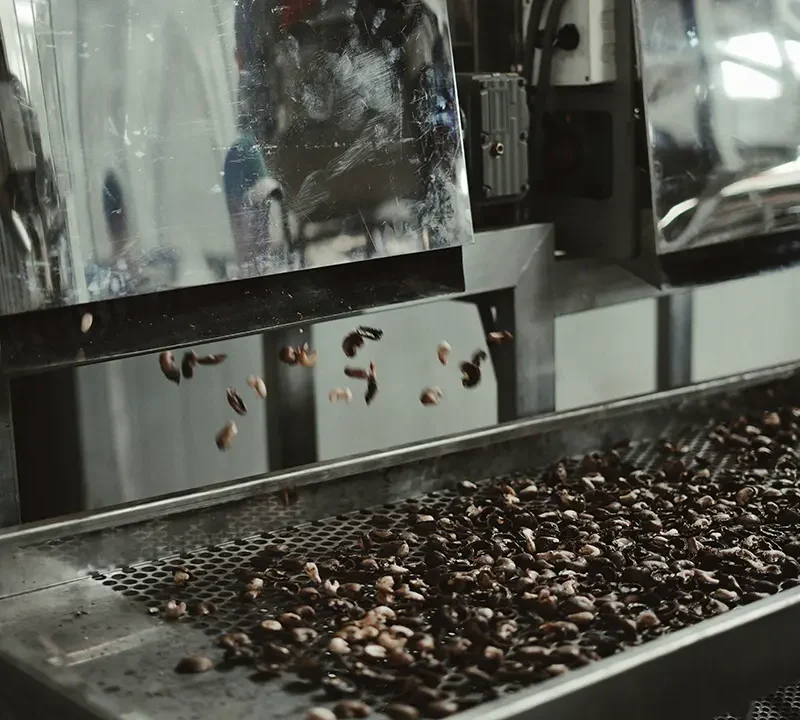 shelling in cashew processing