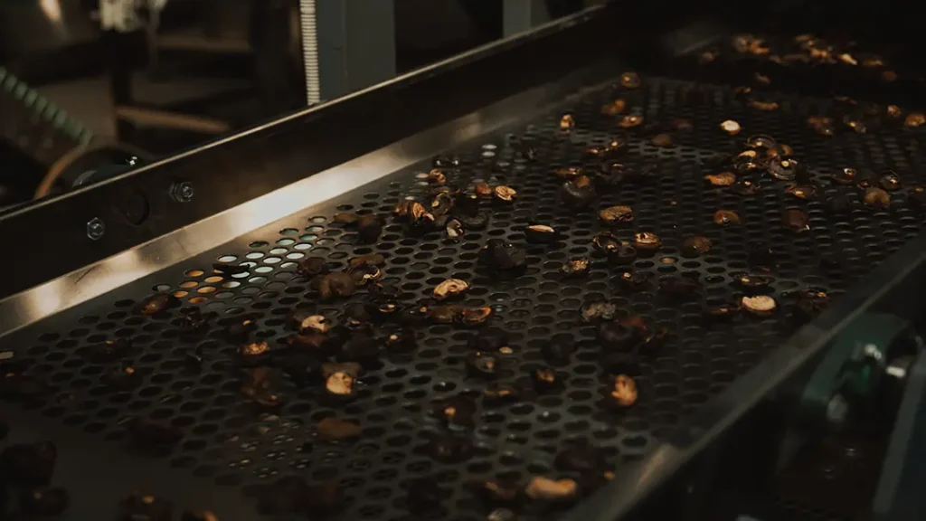 Cashew Scooping Line